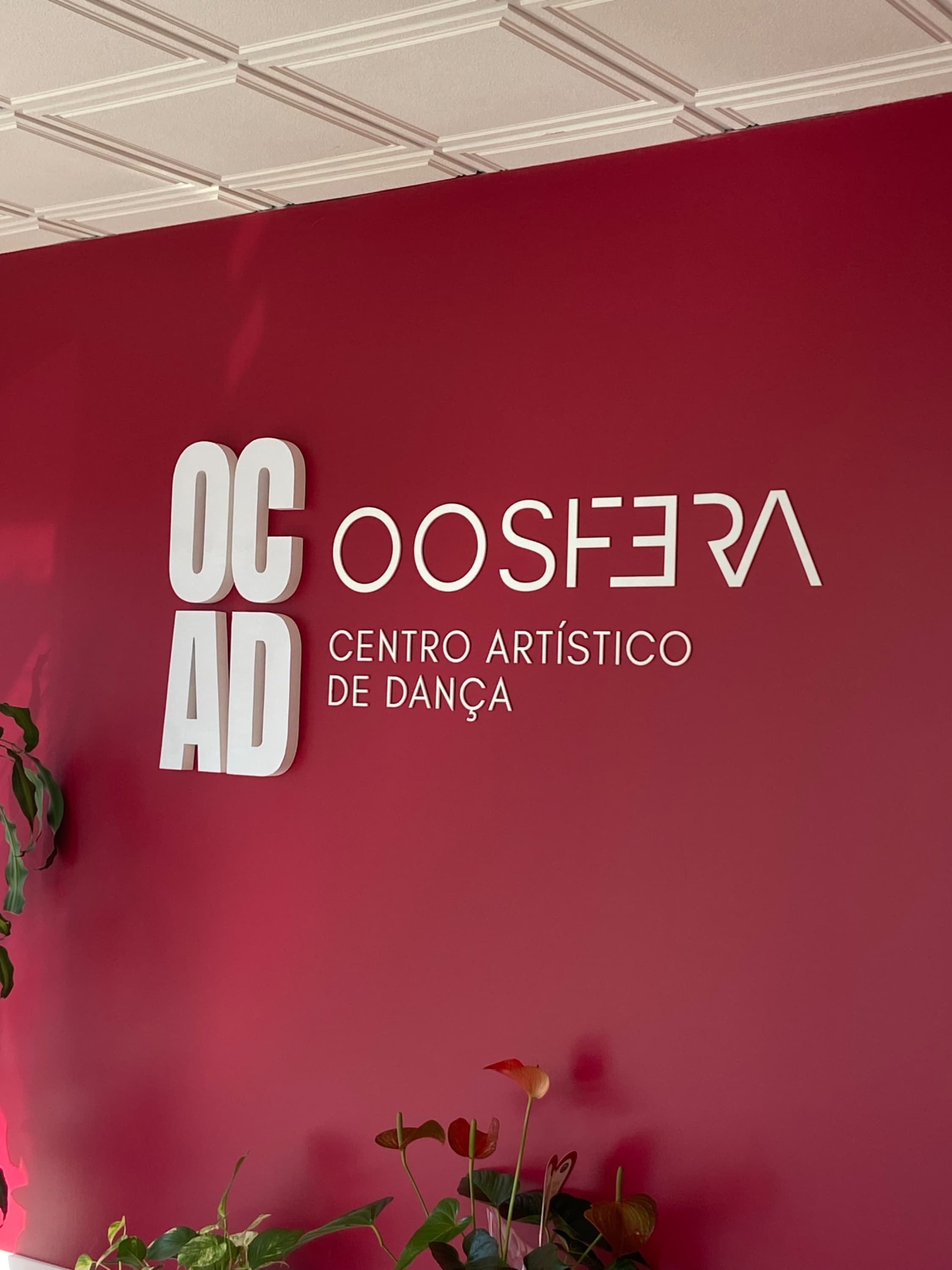 Imagem de Dança, emoção e muitos sorrisos na inauguração do novo estúdio da Oosfera em Soure (5 de 15)